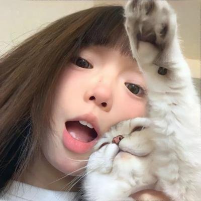石之岛